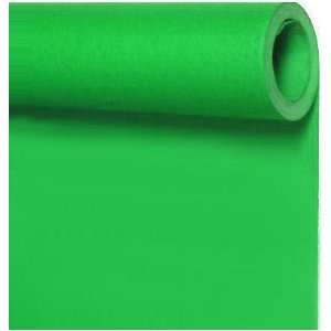  Seamless Background Paper   Photo Background Roll Chroma 