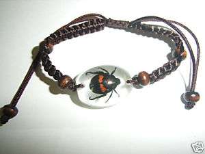 Insect bracelet   Fortune Beetle  