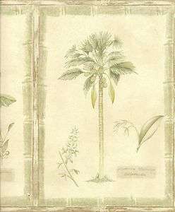 Palm Tree Asian Wallpaper Border Ivory Background  