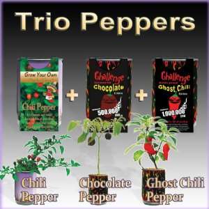   Peppers Deal included Ghost Chili, Chocolate Habanero, Cherry Pepper