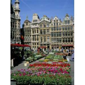 Grand Place, Brussels (Bruxelles), Belgium Photographic 