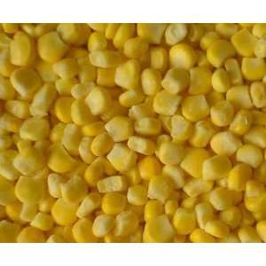 Yellow Sweet Corn Freeze Dried Survival Food   Giant #10 Can  