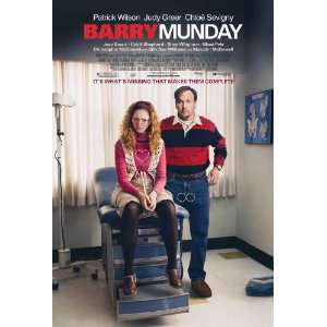  Barry Munday Movie Poster (27 x 40 Inches   69cm x 102cm 