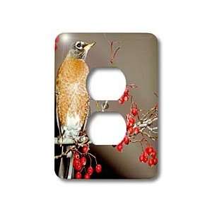  Cassie Peters Birds   Robin   Light Switch Covers   2 plug 