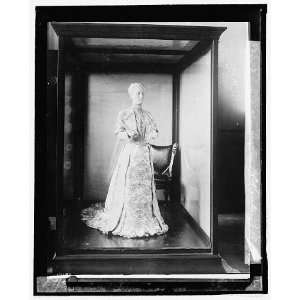 Photo Mrs. Ida Saxton McKinley inaugural dress from First Ladies 