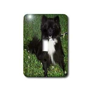 Rebecca Anne Grant Photography Dogs   Black And White Pomeranian Green 