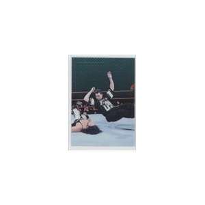  WWF Smackdown Chromium #64   X Pac/Shane McMahon Sports Collectibles