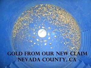 CALIFORNIA CONCENTRATE GOLD PANNING PAYDIRT NUGGETS  