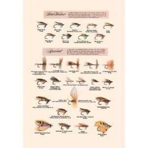  Fly Fishing Lures Low Water and Special 20x30 poster 