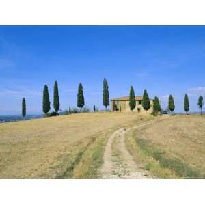 Dirt Track Leading to Farmhouse Behind Row of Cypress Trees, Tuscany 