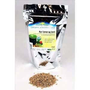 Organic Rye Grain Seeds   1 Lb Re Sealable Bag   Rye Seed / Grains for 