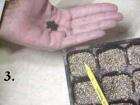 DONT WASTE SEEDS Use Your Seed Spoons Sowing TOOL Set  