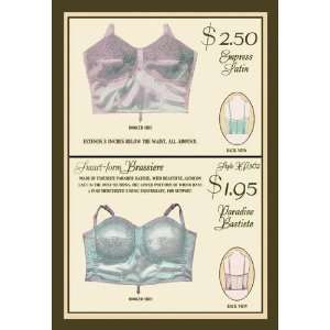  Empress Satin and Paradise Batiste Brassieres 20x30 poster 