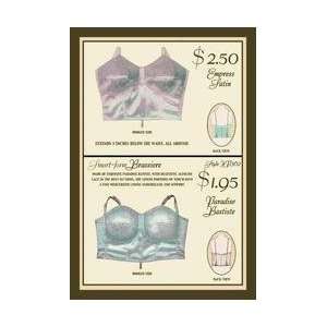  Empress Satin and Paradise Batiste Brassieres 12x18 Giclee 