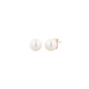 Honora   Freshwater Pearl Stud Earrings in 14k Yellow Gold (5   5.5 mm 