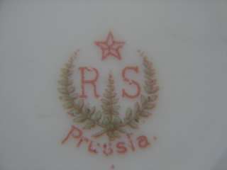 Antique RS Prussia Decorative Floral Pattern 8.5 Plate  