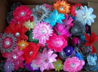12 Mixed Flower Clips Infant Toddler Girl Headband Bows daisys peonies 