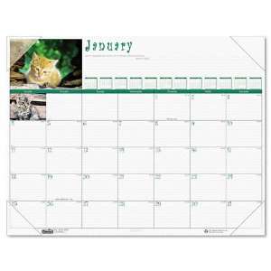  House of Doolittle  Kittens Photographic Monthly Desk Pad Calendar 