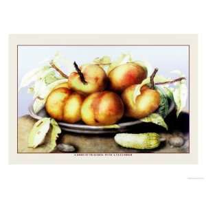  Dish of Peaches with a Cucumber Premium Poster Print by 