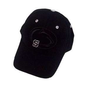 Penn State Nittany Lions Black Emerge 1Fit Hat  Sports 