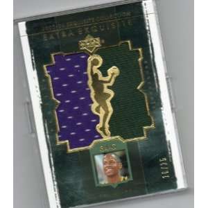   Duals Ray Allen #RA /25 NM MT Double Jersey Card