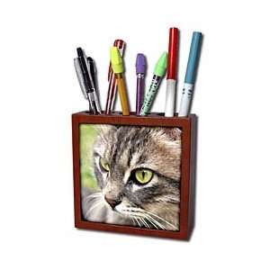   Tabby Cat   Tile Pen Holders 5 inch tile pen holder