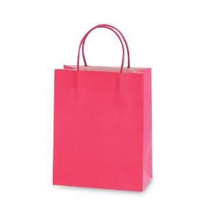  Large Pink Gift Bags 6ct 