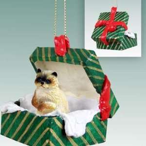  Ragdoll Green Gift Box Cat Ornament