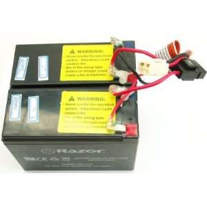  Razor battery set for MX350 V9/PM/SM/PR V7 8/Quad (119 130 