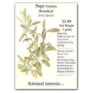  Sage Garden Broadleaf Perennial Seeds   1 gram   Salvia 