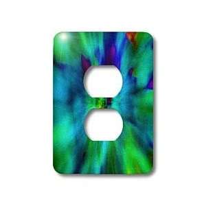 Yves Creations Abstract   Green Blue Sonic Boom   Light Switch Covers 