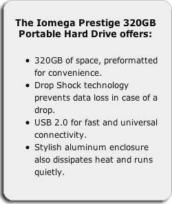 Iomega Prestige 320 GB USB 2.0 Portable External Hard Drive 34342