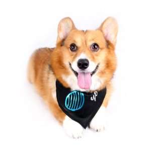  Happy Puppy Designer Dog Accessory   Venetian Blind 