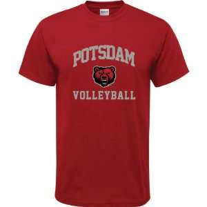   Bears Cardinal Red Youth Volleyball Arch T Shirt