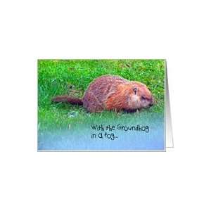  Groundhog Day, Groundhog In A Fog, Green Grass Card 