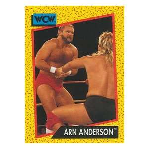  1991 WCW Impel Wrestling Trading Card #52  Arn Anderson 
